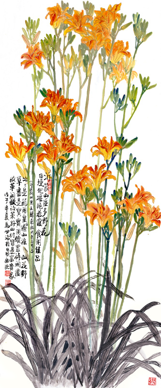 马世治  金针菜 拷贝.jpg
